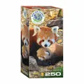 Produktbild: Eurographics Puzzle Rote Pandas, Pandababy, 250 Teile, 33 x 48 cm, 8251-5557