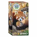 Produktbild: Puzzle - Rote Pandas - 250 Teile