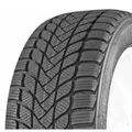 Produktbild: Mastersteel Winter Plus 1 195/55 R16 87 H, Winterreifen