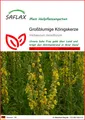 Produktbild: SAFLAX  - Großblumige Königskerze - Verbascum - 500 Samen