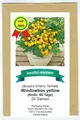 Produktbild: Balkontomate - Strauchtomate - gelbe Cherry-Tomate - Windowbox yellow - 20 Samen