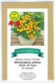 Produktbild: Balkontomate - gelbe Strauchtomate - Window Box Yellow (20 Samen)