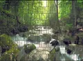 Produktbild: Wasserfall - Bedruckter Zaun Sichtschutzstreifen