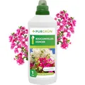 Produktbild: Purgrün® Bougainvillea-Dünger 1 Liter – Organisch-mineralische Rezeptur – Premium-Flüssigdünger mit Spurennährstoffen – NPK 5+7+8 – Mit Guano & Spurennährstoffen – Für leuchtende Blüten