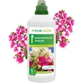 Produktbild: Purgrün Bougainvillea Dünger, NPK 5+7+8, Guano & Spurennährstoffe , 1L