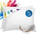 Produktbild: wometo 2er Set Federkissen 100% Federn 40x60-600g Oeko-TEX Sofakissen Füllkissen Bezug Baumwolle weiß/Innenkissen/Kissenfüllung/kleine Kopfkissen (2 Stück)