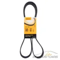 Produktbild: CONTI KEILRIPPENRIEMEN 6PK1733 FÜR ALFA AUDI A3 A4 BMW 3-ER E36 E46 VW GOLF 5 6