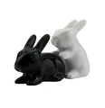 Produktbild: Winkee - Häschen S+P Streuer - Bunny S + P Shakers