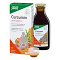 Produktbild: Curcumin - 202 Bioaktiv Tonikum 250ml | SALUS