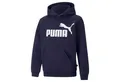 Produktbild: PUMA Kapuzenpullover Puma Kinder Kapuzenpullover Ess Big Logo 586965