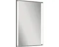 Produktbild: Spiegelelement Line 67x42,5 cm FACKELMANN IP 20