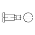 Produktbild: Reyher  Flachkopfschrauben DIN 923 4.8/5.8 M 8 x 8 (100 Stück)