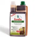 Produktbild: Ewalia 1 l Halswohlsaft Ergänzungsfuttermittel