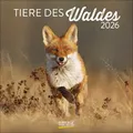 Produktbild: Tiere des Waldes 2026: Broschürenkalender mit Ferienterminen. Format: 30 x 30 cm
