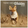 Produktbild: Tiere des Waldes 2026