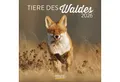Produktbild: Korsch Verlag Wandkalender Tiere des Waldes 2026