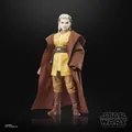 Produktbild: Star Wars The Black Series Acolyte Padawan Jecki Bio-Lon Action Figure Hasbro