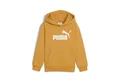 Produktbild: PUMA Kapuzenpullover Puma Kinder Kapuzenpullover ESS No. 1 Logo Hoodie FL PS 684931
