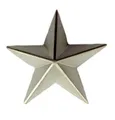 Produktbild: FahnenMax® Pin Anstecker Stern silberfarben