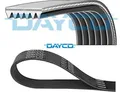 Produktbild: DAYCO 6PK1520 Keilrippenriemen Keilriemen für Ford für Seat für Skoda für VW