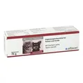Produktbild: Reconvales Päppelpaste für Hunde und Katzen