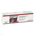 Produktbild: RECONVALES Päppelpaste f.Hunde/Katzen 75 g