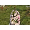 Produktbild: Malus Van Eseltine Zierapfel Rosa Blüten 100–125 cm