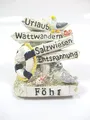 Produktbild: Föhr Magnet Souvenir Germany Urlaub Wattwandern Salzwiesen Entspannung