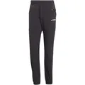 Produktbild: adidas Terrex Terrex Xperior Pants black (095A) 48