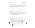 Produktbild: Zeller Present Rollwagen Etagen-Rollwagen, Mesh, weiß, Metall, 43,5 x 26 x 62,5 cm