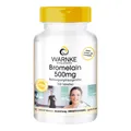 Produktbild: Bromelain 500 mg Tabletten 100 St