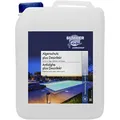 Produktbild: Summer Fun Algenschutz Plus Desinfekt - 5 Liter