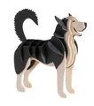 Produktbild: Fridolin 11638 3D-Papiermodell - Husky