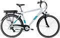 Produktbild: Zündapp E-Bike Trekkingrad Z807, 7 Gang Shimano Altus Schaltwerk, Kettenschaltung, Heckmotor, 468 Wh, Pedelec, Elektrofahrrad für Damen und Herren