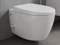 Produktbild: Aqua Bagno Taharet WC Inkl. Softclose Sitz und Ventil Dusch-WC Hänge-WC Toilette mit Bidet-Funktion Tiefspülklosett Keramik Spülrandlos 510 x 363 mm