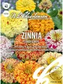 Produktbild: Zinnia Candy Stripe, N.L. Chrestensen Blumensamen, Zininen Saatgut, Sommerblumen, Blumen Samen, Blumenwiese für Garten und Balkon