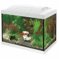 Produktbild: Superfish Aquarium Start 20 weiß Goldfish Kit LED