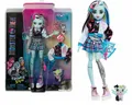 Produktbild: Monster High Frankie Stein doll Puppe mit Hündchen + vielen Accessoires NEU/OVP