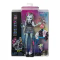 Produktbild: 194735069781 Monster High Frankie Stein Doll With Pet And Accessories Mattel