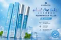 Produktbild: essence what the fake! EXTREME 2 x Plumping Lip Filler ICY EFFECT 2 x 4,2 ml
