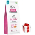 Produktbild: BRIT CARE Dog Grain-free Puppy Salmon 12kg + Überraschung für den Hund
