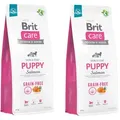 Produktbild: BRIT CARE Dog Grain-free Puppy Salmon 2x12kg
