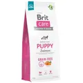 Produktbild: BRIT CARE Dog Grain-free Puppy Salmon 12kg + LAB V 500ml -5% billiger!!!