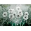 Produktbild: artgeist Fototapete, Grau, Grün, Textil, Blume, 100x70 cm, CE, Tapeten & Wandverkleidungen, Fototapeten