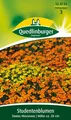 Produktbild: Quedlinburger Studentenblumen Zwerg-Mischung - Blumensamen