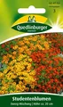 Produktbild: STUDENTENBLUMEN 
