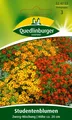 Produktbild: Zwerg-Studentenblumen Mischung Samen von Quedlinburger Saatgut