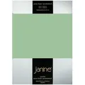 Produktbild: Janine Jersey Elastic Spannbetttuch 140x200 cm - 160x220 cm | lind - grün
