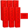 Produktbild: Schwarzkopf Igora Royal 6 x 60 ml 0-55 gold konzentrat Haarfarbe Cremefarbe Set