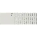 Produktbild: LEITZ Tauenpapier-Register, A-Z, für 12 Ordner, grau